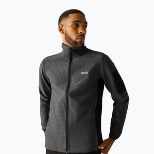 Men's sweatshirt REGATTA Baslinn ash/black