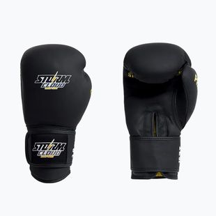 Boxing gloves StormCloud Boxing Pro black