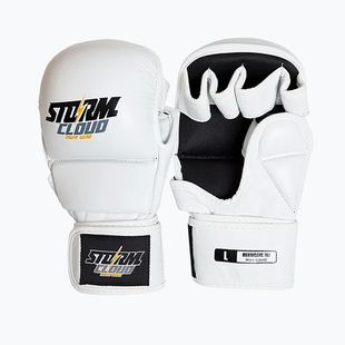 Grappling gloves StormCloud Hurricane white/black