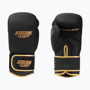 Boxing gloves StormCloud Boxing Pro black/gold