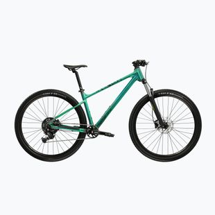 Mountain bike KROSS Level X100 green/black/mat