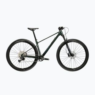 Mountain bike KROSS Level RS 1.0 green/kameleon/shine