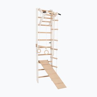 RINAGYM SPR A+SLIDE gymnastic ladder