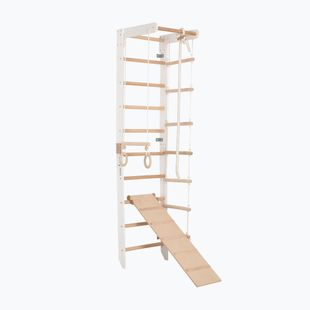 RINAGYM SPR B+SLIDE gymnastic ladder