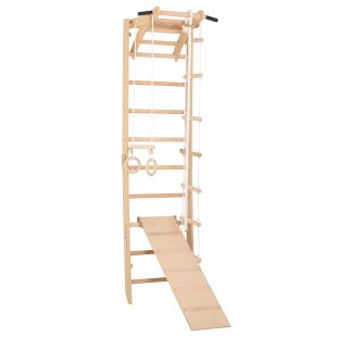 RINAGYM SPR A+SLIDE gymnastic ladder