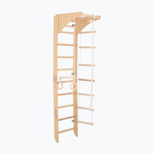RINAGYM gymnastic ladder SPR C