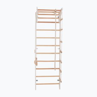 Gymnastics ladder RINAGYM Pro 2 white
