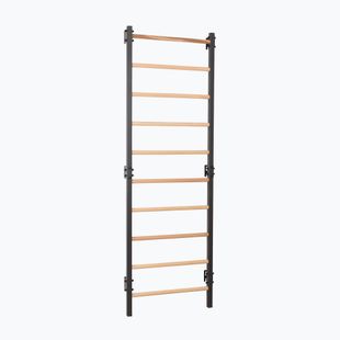 Gymnastics ladder RINAGYM Steel 1 graphit