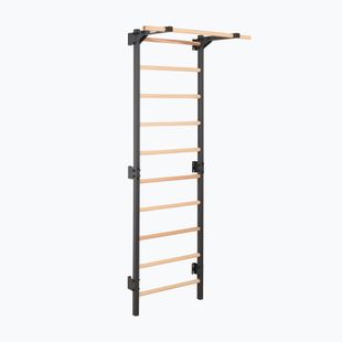 Gymnastics ladder RINAGYM Steel Pure graphit