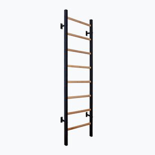 BenchK gymnastics ladder black BK-200B