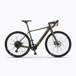 EcoBike Forest/9.7Ah green electric bike 1010502