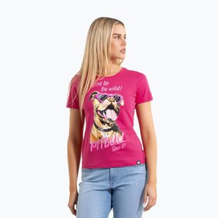 Pitbull Synglasses Dog raspberry gold women's t-shirt