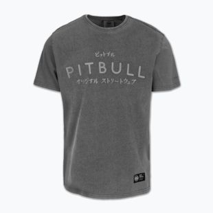 Pitbull Mt. Fuji men's t-shirt washed grey