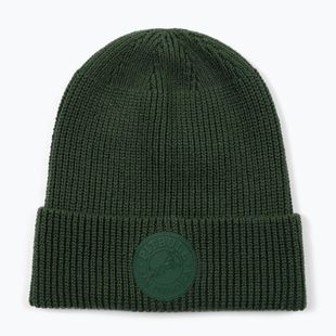 Winter hat Pitbull Beanie San Diego Ca dark green