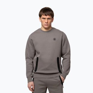 Men's sweatshirt Pitbull Dogwood Crewneck Sweatshirt taupe