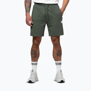 Men's shorts Pitbull Nugget Small Logo sage green