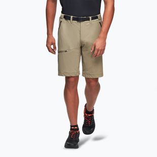 Men's trekking shorts Alpinus Terminio olive