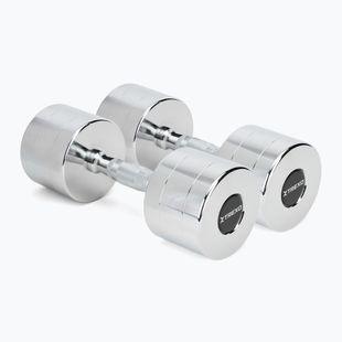 XTREXO chrome dumbbells 2x12 kg silver