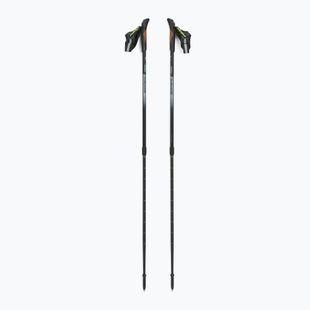 Fizan Smu Active black Nordic walking poles