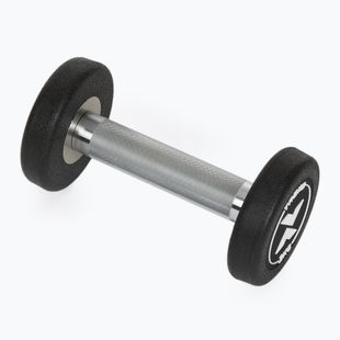Rubber-coated cast iron dumbbell XTREXO Pro 2 kg black