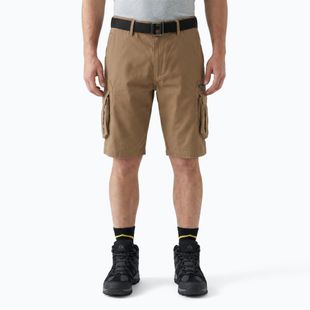 Men's shorts KADVA PathGear brown