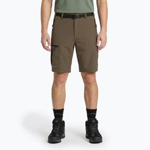 Men's shorts KADVA Seto brown