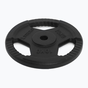 Cast iron weight XTREXO TRX-ICP010 10 kg chrome