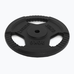 XTREXO cast iron weight TRX-ICP020 20 kg chrome