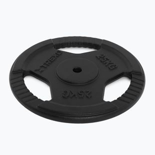 XTREXO cast iron weight TRX-ICP025 25 kg chrome