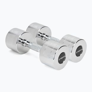XTREXO chrome dumbbells 2x9 kg silver