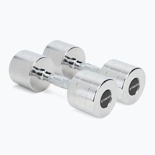 XTREXO chrome dumbbells 2x10 kg silver