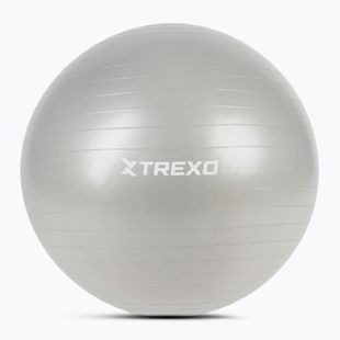 XTREXO Gymball TXO-B4Z009-GY 75 cm grey