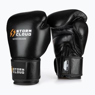 Boxing gloves StormCloud Muay Thai Blizzard 2.0 black/white