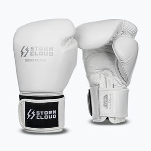 Boxing gloves StormCloud Muay Thai Blizzard 2.0 white/silver