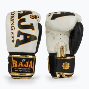 Boxing gloves RAJA BOXING Origin Standard Genuine Leather white