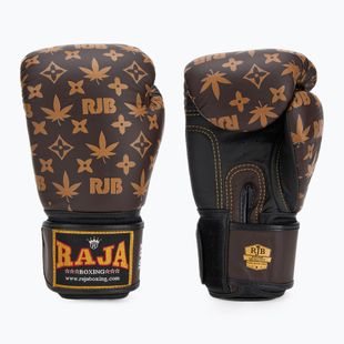 Boxing gloves RAJA BOXING Brown Weed