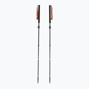 Ski touring poles Viking Mission grey