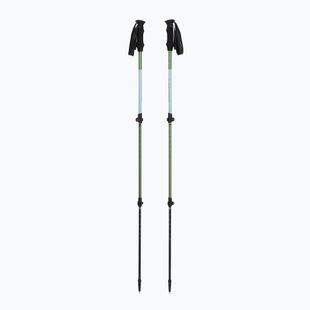 Trekking poles Viking Kivi 2.0 green