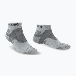 Men's trekking socks Bridgedale Hike Midweight Performance Ankle silver/black