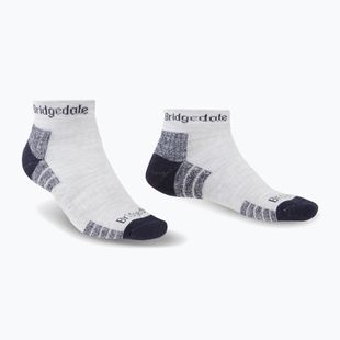 Men's socks Bridgedale Hike Lightweight Performance Ankle silver/navy