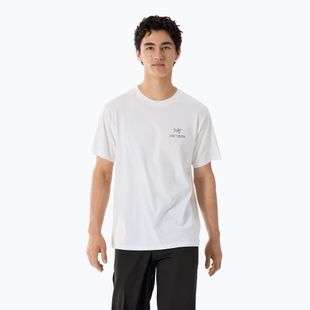 Men's T-shirt Arcteryx Kragg Sl Cotton Bird Word white light/black