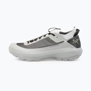 Men's approach shoes Arc'teryx Vertex Alpine solitude/dk solitude
