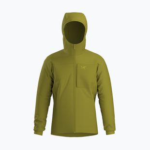 Men's insulated jacket Arcteryx Proton Hoody olive moss
