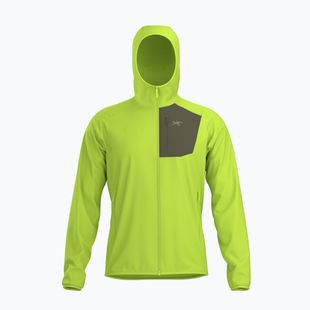 Men's fleece sweatshirt Arc'Teryx Delta Hoody mantis/tatsu