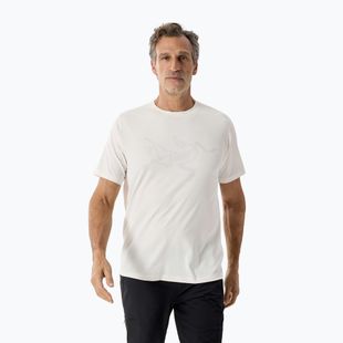 Men's T-shirt Arcteryx Cormac Logo arctic silk