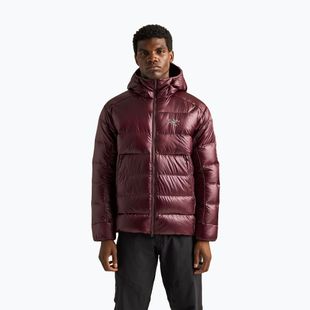 Men's insulated jacket Arcteryx Cerium SV Hoody ultima