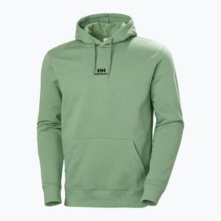 Men's Helly Hansen Yu Hoodie 2.0 jade 2.0 sweatshirt