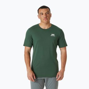 Men's Helly Hansen Nord Graphic jungle green T-shirt