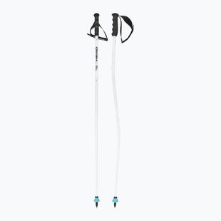 Ski poles HEAD Worldcup SG white/black/speed blue