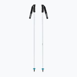Ski poles HEAD Worldcup SL white/black/speed blue